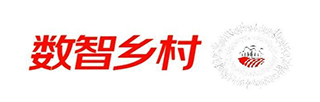 伙伴五